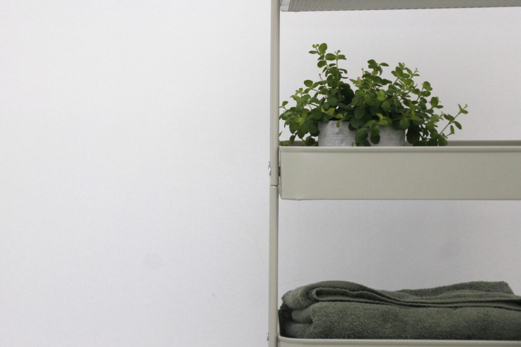 Green plant on shelf with towels in a minimalist indoor setting.